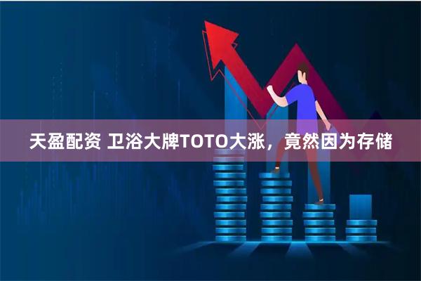天盈配资 卫浴大牌TOTO大涨，竟然因为存储