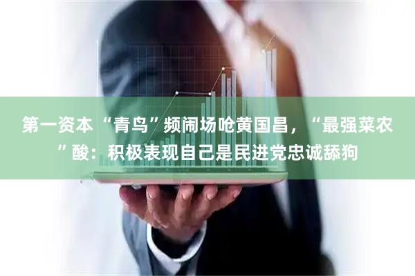 第一资本 “青鸟”频闹场呛黄国昌，“最强菜农”酸：积极表现自己是民进党忠诚舔狗